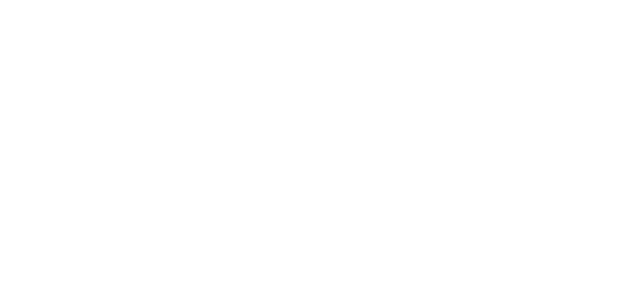 BIBLES INTERNATIONAL ANNEX